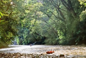Borneo, fiume nella foresta, Giulio Badini