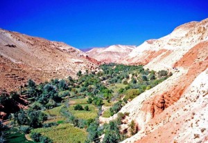 Marocco, oasi di montagna