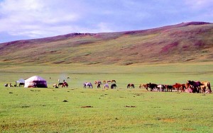 Mongolia, gher e cavalli