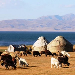 Tajikistan Kirghizistan Viaggi Levi